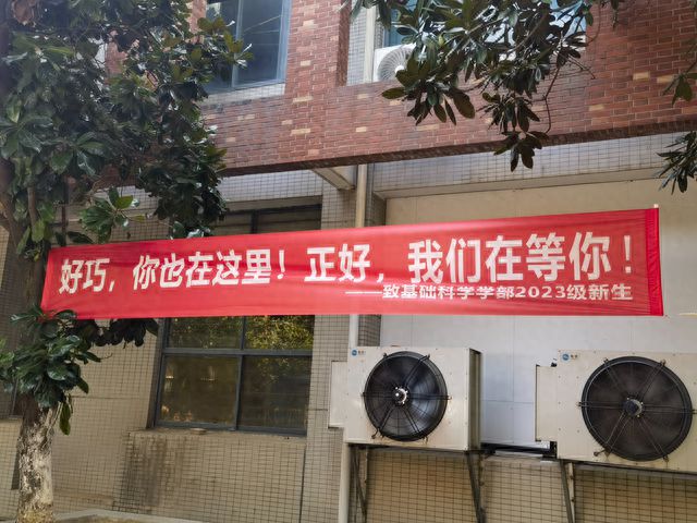 学校新年横幅标语大全图片